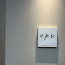 오피에스(OPS) 이미지