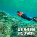 더베럴팜 | 보홀여행 발리카삭 호핑투어와 버진아일랜드 팁 (내돈내산)