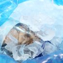 통영수산업협동조합 | 보쌈엔 역시 굴이죠! 통영 수협 중매인이 보내주는 생굴택배 후기