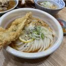 키노숲