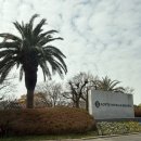 락게임장 | [제주 숙소] 롯데호텔 제주 별관 샤롯데 패밀리 트윈룸 내돈내산 이용후기