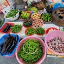 완주한우협동조합 고산미소육가공센터 | [전라북도 완주군] 고산미소시장