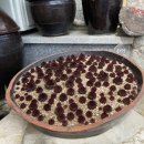 나들민박 이미지