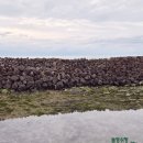 북촌환해장성 이미지