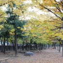 삼현여자고등학교 이미지