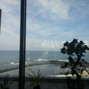 스테이마농 이미지