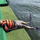 화도왕오리 이미지