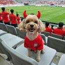 둥이