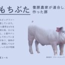 피그팜주식회사