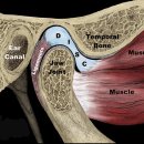 입암경희한의원 이미지