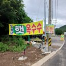찰옥수수맛집