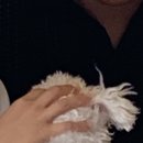 마산가든 이미지