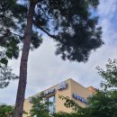 서양화교실 이미지