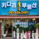 키다리공인중개사사무소 이미지