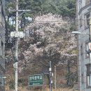 다옴공인중개사사무소 | 관악구부동산 다옴공인중개사사무소 상담 받고 기준부터 다시 잡기