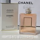 롯데 제주공항면세점 | 제주공항 JDC 면세점 샤넬 매장 쇼핑 코코 마드모아젤 향수 선물 후기