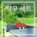 탁구 이미지