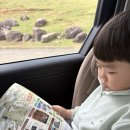 현이카랜드 | 봄 후쿠오카 🌸 DAY 3 part 1 벳푸 아프리칸 사파리 렌트카로(오픈런, 정글버스 마감, 사자, 기린...