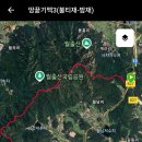밤재로 티스토리