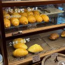 고목로1 | 안산 본오동 신상카페 일월의솔체 소금빵 맛집 후기