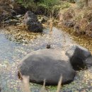 목화펜션 이미지