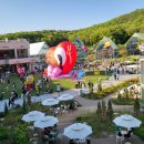 롯데애견 이미지