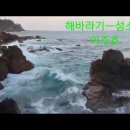 오아시스님신청곡) 섬소년 - 해바라기 이미지