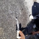 신북모타 이미지