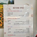 늘 예쁘개 | [부산/수영구] 망미동 네일과 애견미용까지! 네일 더 예쁘개 내돈내산