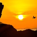 해맞이 관광안내소 이미지