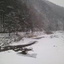 축제펜션 이미지