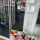 플랑떼플레르 이미지