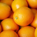 오렌지 이미지