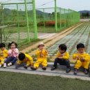 벌교스포츠센터 이미지