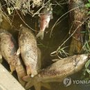 신곡배수펌프장 이미지