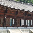 해인사 Daum카페