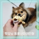폴리파크 김천혁신점 | 리온이 펫모닝도그토이 동물사파리인형이랑 발바닥밤 사용후기
