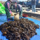 청정해역 이미지