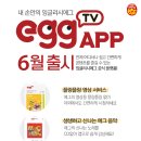 에그(egg) 이미지