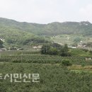 유전2리 티스토리