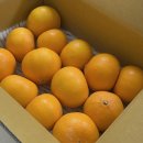 요제농장 이미지