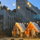 팀더원 | 🏕️ 도심 속 캠핑 감성, 대전 바베큐더원 솔직 후기