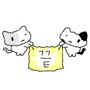 신성물류 이미지