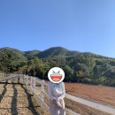 은모래목장 이미지