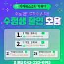파라에스트라하복대