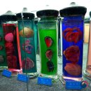 갯지렁이 전시관 이미지