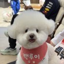랄라프로덕트 파인드미.ᐟ 내이름은 백루이