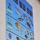 대어호
