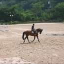 더 귀족 이미지