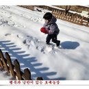 손자농장 이미지